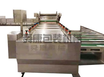 大蒜清洗機(圖1)